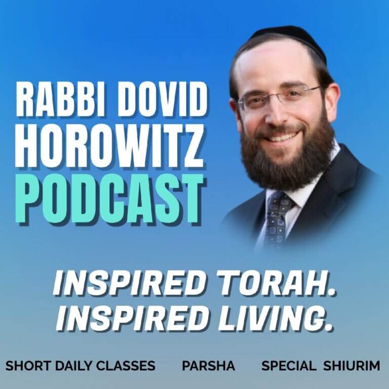 Rabbi Dovid Horowitz Podcast