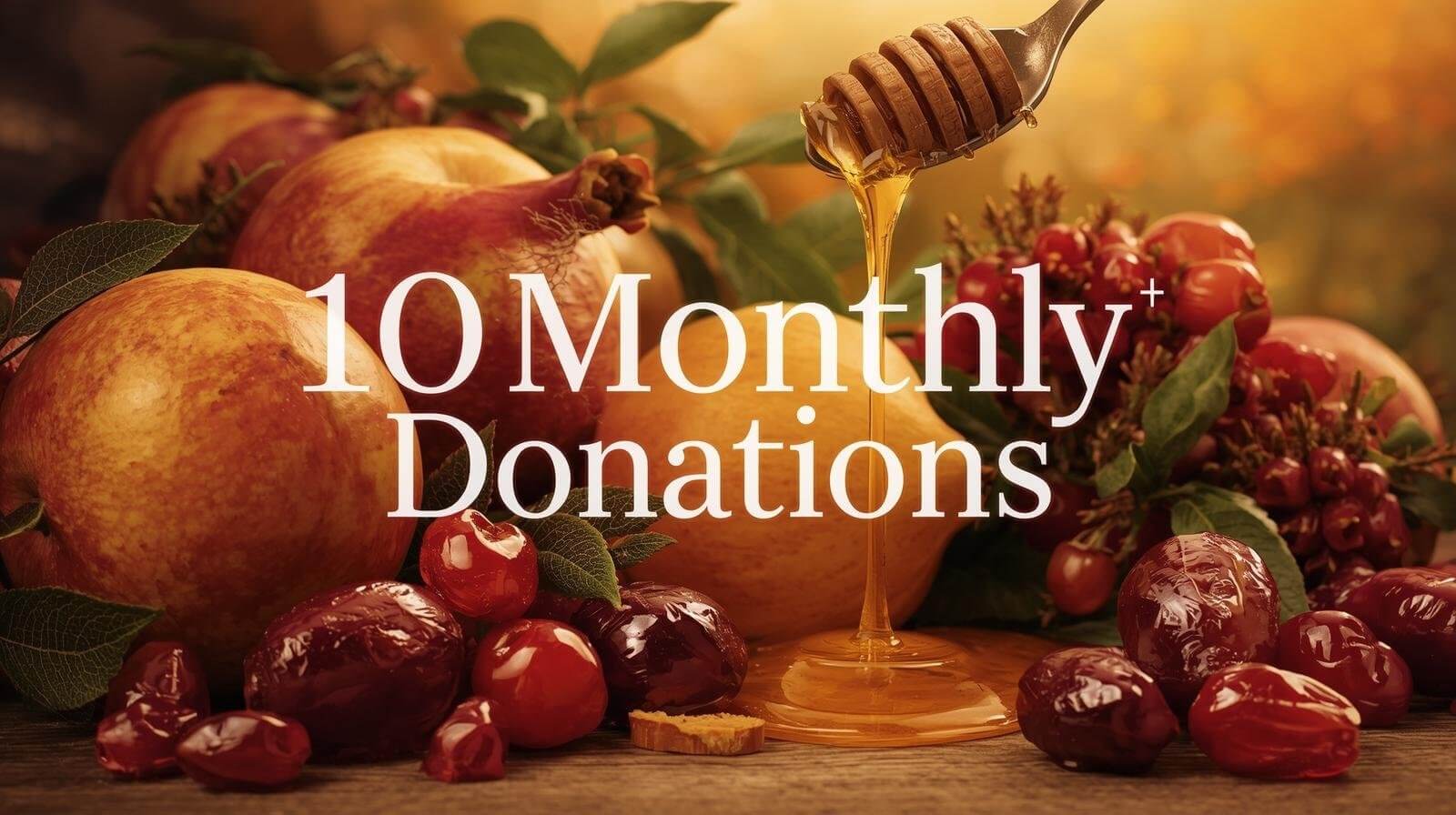 10 Months Donation Membership