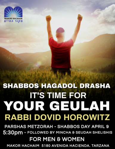 SHABBOS HAGADOL DRASHA 5782 NEW (2)